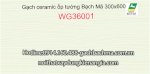 Gạch Ốp Tường Bạch Mã Wg36001, Wg36002,Chiết Khấu Cao Tphcm