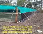 Lưới Rào Ao Tôm Chuyên Dụng Tại Các Tỉnh Miền Tây, Miền Trung