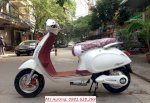 Nijia Nhỏ Nhắn 8,3Tr, Giant M133S Mini 7,5 Tr, Vespa, Zoomer...mới Nhất 2016