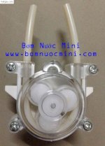 Bơm Nhu Động 6V (0-60Ml/P)