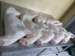 Thịt Cừu Tơ, Cừu Ninh Thuận, Thit Cuu, Cưu Tuoi Sống