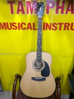 Đàn Guitar Acoustic Cort Ad810