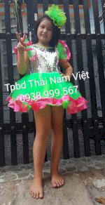 Cho Thuê Váy Múa ,Đầm Múa Trẻ Em Giá Rẻ Tại Thái Nam Việt