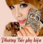 Phuơng Bắc Phụ Kiện-Đc 336/44/7A Nguyễn Văn Luông, P 12, Q6, Tp Hcm