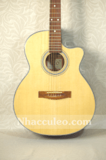 Đàn Guitar Acoustic A130