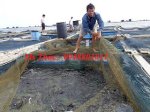 Lồng Lưới Nuôi Cá Giá Siêu Rẻ/Lưới Siêu Bền - Lồng Lưới Nuôi Cá