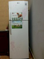Bán Tủ Lạnh Lg Gn-255Pg