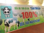 Sữa Bò Tươi Củ Chi 100% Nguyên Chất