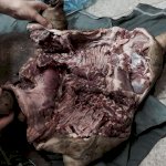 Cchuyên Bán Thịt Dê Lòng Dê Tại Hà Nội