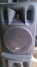 Loa Peavey Bass 25, Peavey Bass 30, Sub Peavey, Vang Cơ, Vang Số, Đẩy Công Suất