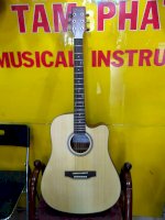 Guitar Acoustic Takamine G320S