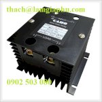Solid State Relay 1O     (30A ~ 80A)  Caho