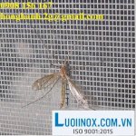 Lưới Thép Chống Muỗi, Lưới Chống Muỗi,Lưới Chống