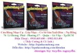 Dây Đàn Violin Giá Sỉ Lớn Nhất Tại Nụ Hồng