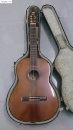 Đàn Guitar Abe Gut 65A