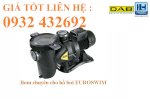 Bơm Nước Hồ Bơi Ý Dab Euro Swim 300M - 3Hp