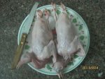 Thịt Chim Bồ Câu, Bồ Câu Nướng, Bồ Câu Bọc Xôi Chiên