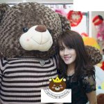 Gấu Bông Đẹp, Shop Gấu Bông Tphcm Giá Rẻ Nhất, Gấu Bông Cao Cấp Hàn Quốc