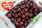 Cherry Chile Big Size 28+ Giá Sốc 349K