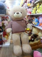 Gấu Bông Teddy Boyds Chính Hãng Giảm Giá Cực Shock