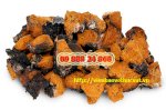 Nấm Chaga Nga Hàng Chất Lượng Nhập Khẩu Từ Nước Nga