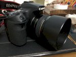 Combo Canon 70D + Lens Sigma 17-50 F28