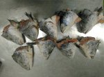 Đầu Cá Hồi (Nhập Khẩu Nauy, Anh, Chile): V-Cut Hoặc Cắt Bằng, Size Từ 400Grs Up