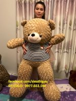 Gấu Bông Teddy Khổ M4 Giá Rẻ - Gấu Teddy 1M4
