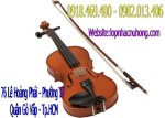 Đàn Violin Giá Rẻ, Đàn Violin Tphcm, Đàn Violin Quận Gò Vấp, Đàn Violin Giá Rẻ Mẫu Mã Da Dạng