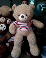 Gấu Teddy 1M6 - Gấu Bông Teddy Khổ M6 Giá Rẻ
