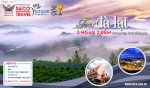 Tour Vũng Tàu, Phan Thiết, Nha Trang, Đà Lạt Cùng Du Lịch Saco