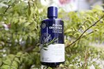 Dầu Gội Avalon Organics – Tea Tree Mint