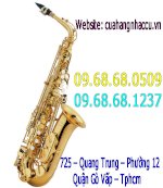 Kèn Saxophone Tenor Giá Rẻ Gò Vấp -Tp.hcm