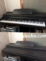 Đàn Piano Điện Korg Ci800