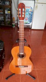 Aria Guitar Ac 35 Tây Ban Nha