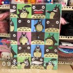 [Xoài Xấu Xa Shop] Giấy Bao Tập Hình Con Totoro Siêu Kute