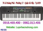 Đàn Organ Yamaha Psr -E253 Giá Rẻ Tại Gò Vấp