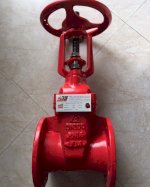 Van Cổng Shinyi Dn300 Frhx-0300-10(16)