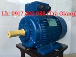 Motor Công Nghệ Úc, Vỏ Gan , Dây Đồng 100%