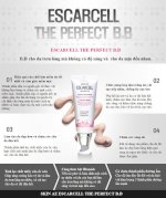 Kem Nền Che Khuyết Điểm Cao Cấp Skinaz Escarcell The Pefect Bb Cream