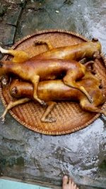Bán Thịt Chó Tươi Thui Rơm Tại Hà Nội