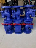 Van Một Chiều Hơi Lò Xo Gang Mặt Bích Pn16 40A