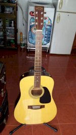Takamine Acoustic Guitar Td 27 Và Takamine Elite Tw 30 Jacaranda