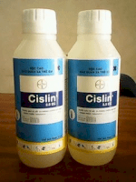 Cislin 2.5 Ec - Thuốc Diệt Mọt Chuyên Dùng