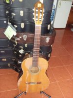 Alhambra Guitar Mod 4C, Mod 1P Và Mod Iberia A Tây Ban Nha