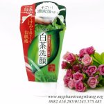 Sữa Rửa Mặt Tinh Chất Trà Xanh-Rohto Shirochasou