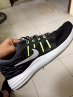 Nike Lunarstelos ( New )