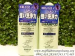 Bộ Dầu Gội Mọc Tóc Kaminomoto Medicated Shampoo