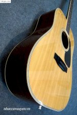 Guitar Acoustic Morris Md-505