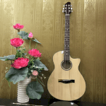 Đàn Guitar Acoustic Za70